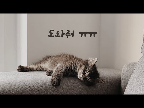 팔 다쳐서 아무것도 못하는 남자친구ASMR