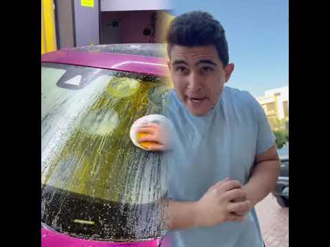 خلفة البنات و الولاد