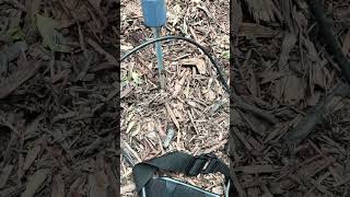 DXMic saves the day again !