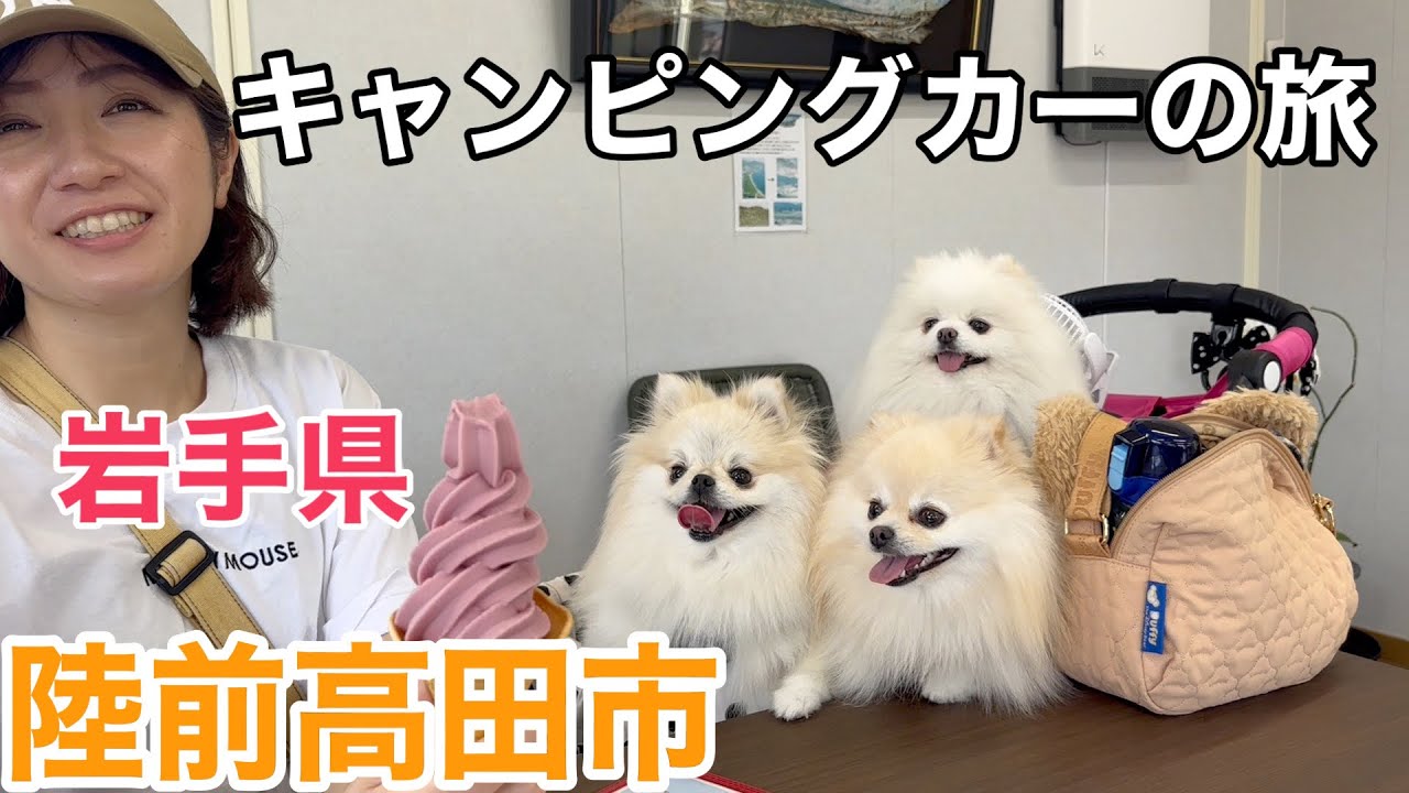 キャンピングカーでポメラニアン３匹と岩手県陸前高田市へ遊びに行きました