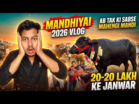 India Ki Sabse Mehngi Janwar Mandi?😳Mandhayai 2026 Vlog 🔥🤯