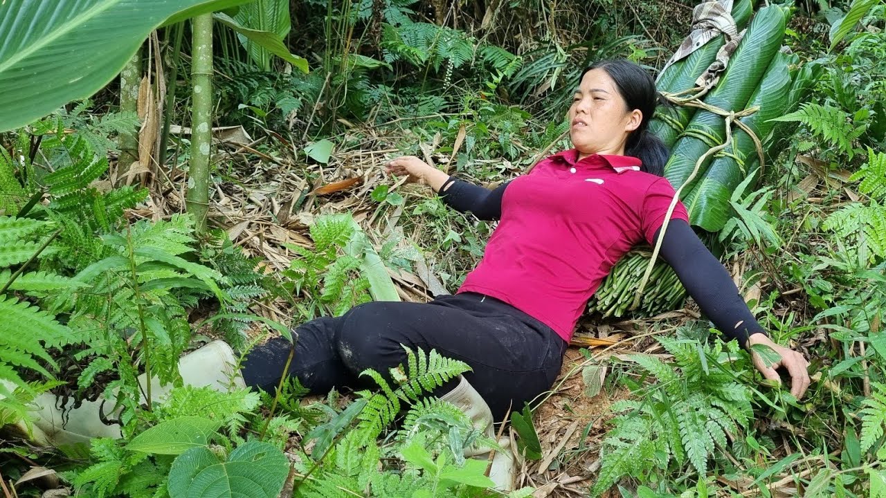 Highland girl; Harvest - Leaves wrapped in cakes to sell - buy chicks to raise - live with nature