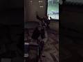 il ballo di simone | #naftalina su #Twitch #arcraiders