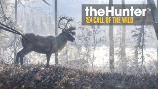 シベリアの大地に立つ theHunter: Call of the Wild 実況プレイ10 screenshot 2