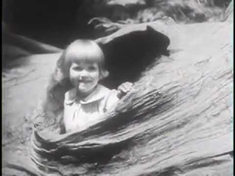Land of the Giants still