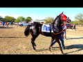 Carreras de caballos/FUTURITY DE POTRILLOS ZUAZUA-TEXANO