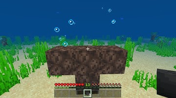 What Happens If You Spawn A Wither In Water
