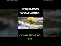 MODE MACRO / MANUAL FOCUS GOOGLE CAMERA LMC 8.4 #shorts  #googlecamera #gcamlmc84