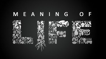 What Is The Meaning Of Life? - Anil Thomas | Anil Thomas NLP