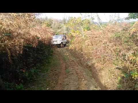 გოგეს ვილისი