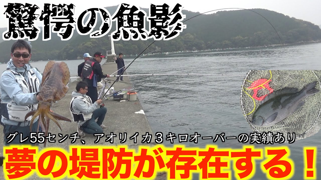 三重県 某堤防でのグレ釣り なんと 40オーバーのグレの数釣りが出来 更に50オーバーグレが高確率でヒットするスーパードリーム堤防 Youtube