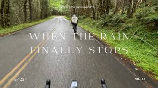 Rain and Respite on the Nestucca River Scenic Byway