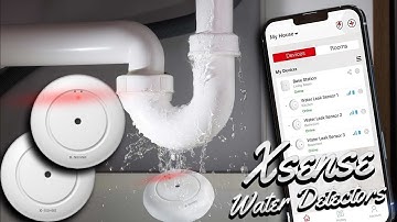 X-Sense Wi-Fi Water Leak Detection System - Peace Of Mind! Overview & Setup