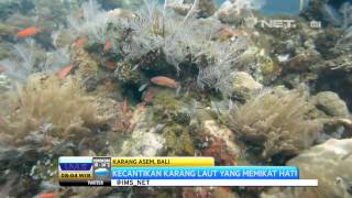 Ims - Wisata Wisata Asal Pulau Bali Yang Mengangumkan