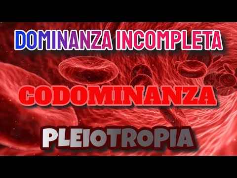 Dominanza incompleta, codominanza, pleiotropia 🧬