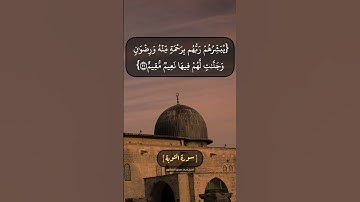 سورة التوبة الآية ٢٠ الى ٢٢ بصوت الشيخ محمد صديق المنشاوي
