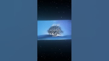 سورة التكوير|19-23|القارئ:#محمد_اللحيدان #قران #quran #راحة_نفسية #قران_كريم#تلاوة_هادئة#تلاوة_خاشعة
