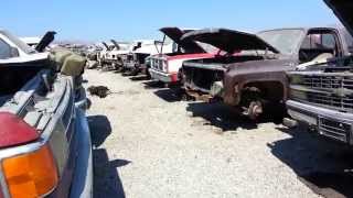 American Junk Yard -Newark, California 2014 08 18 15 32 56
