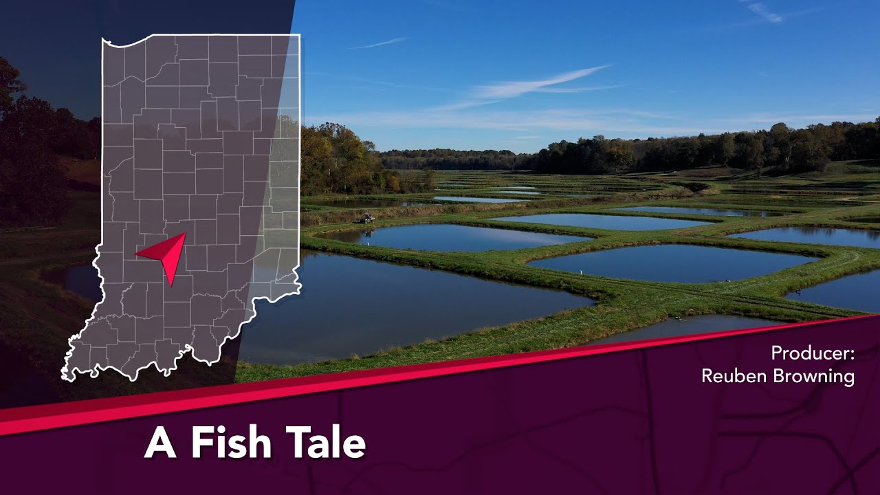 Journey Indiana A Fish Tale Ozark Fisheries YouTube