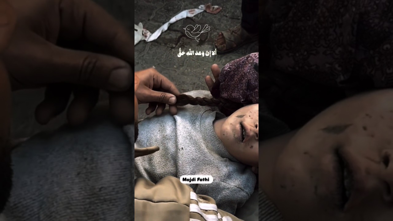 القارئ عبد الرحمن مسعد #غزة #اكسبلور