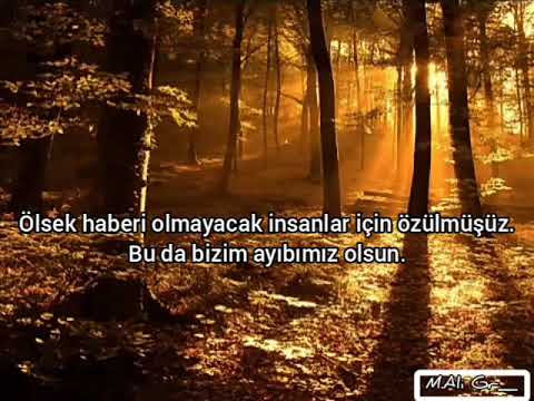 Grup Demsal Dereve Fon Müziği Klip Acılı Sözler