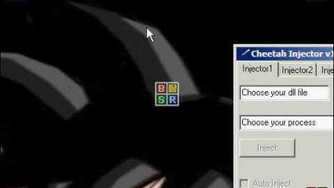 Cheetah Injector tutorial!