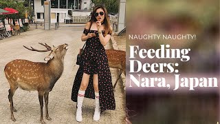 NARA : Deers Who BOW Like the Japanese! | JAPAN | Bianca Valerio