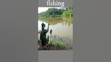 Câu Cá Diếc | Câu Đài | Câu Cá Giải Trí Và Ẩm Thực #shorts