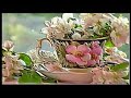 اغنية عبد الحليم حافظ قولولو بحبه بحبه مكتوبة