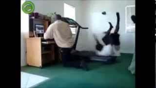 Celebrity Most Epic Treadmill Fail Compilation Profile