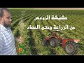 الرودس من الزراعة وحتي الحصاد حصري شرح كامل Rhodes Weed From Planting To Harvest الرودس من الزراعة وحتي الحصاد حصري شرح كامل Rhodes Weed From Planting To Harvest