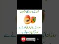 Bayan Food Besturdutotkay Inspirationalquotes Funny Motivationalquotes Generalknowledge Bayan Food Besturdutotkay Inspirationalquotes Funny Motivationalquotes Generalknowledge