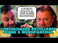 COMO FUNCIONA A REPRODUÇÃO DESSES ANIMAIS- CURIOSIDADES BIZARRAS