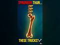 The Incredible Strength of Human Bones! #Shorts #facts