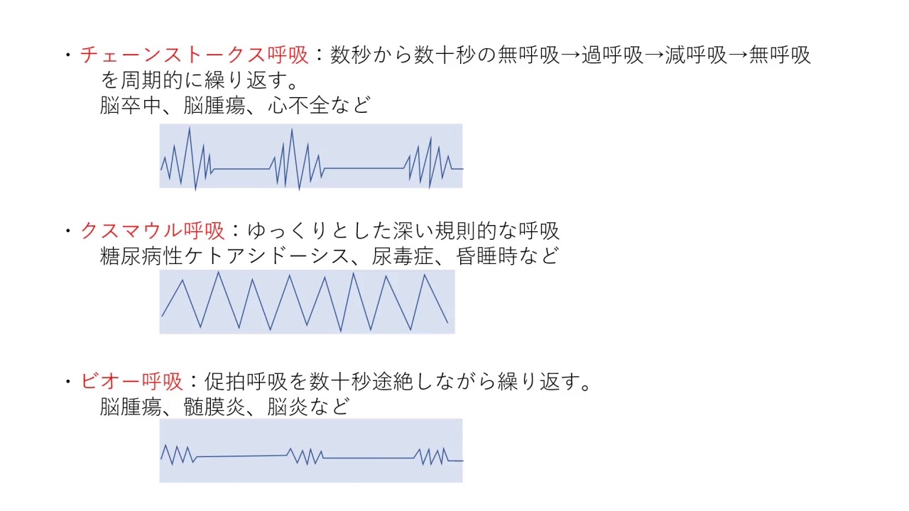 解説 くも膜下出血で診断された患者さんの24時間以内に注意が必要な症状や徴候はどれか Youtube