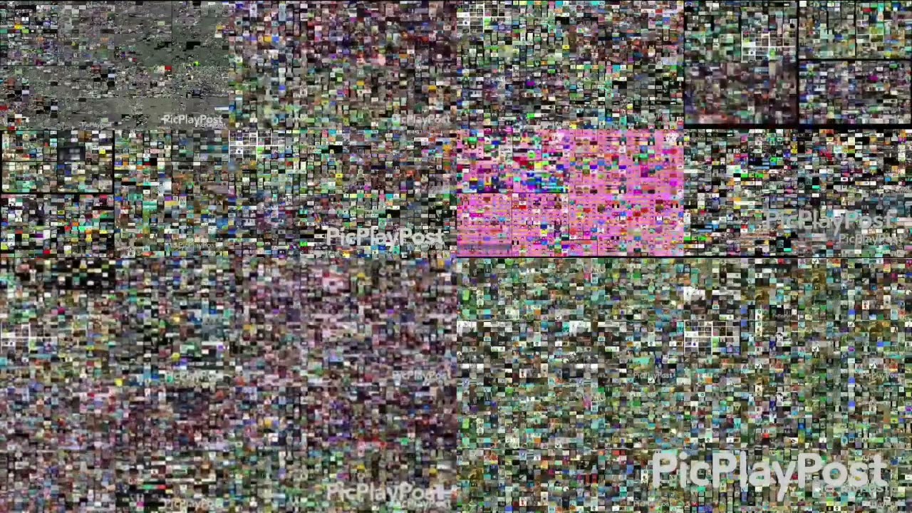 Annoying goose petaparison