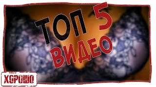Топ 5 лучших видео за июль. Топ 5 лучших видео за июль.