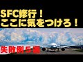 【SFC修行 ANA】SFC修行で失敗する事Best5　国内線編