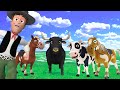 Animals animation story episode