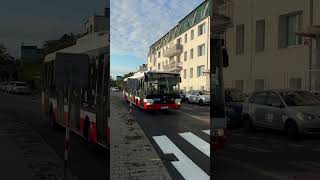 prujezd sorky na 201 a nova silnice s prechodem Dekuju bohu
