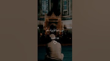 #قرآن #تلاوة_خاشعة #راحة_نفسية #لايك #اكسبلور #ترند 🤍🤍🤍🤍🤍🤍🤍🤍🤍🤍🤍🤍