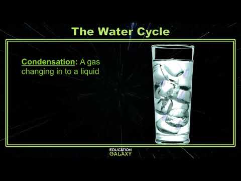 5th Grade - Science - The Water Cycle - Topic Overview - YouTube
