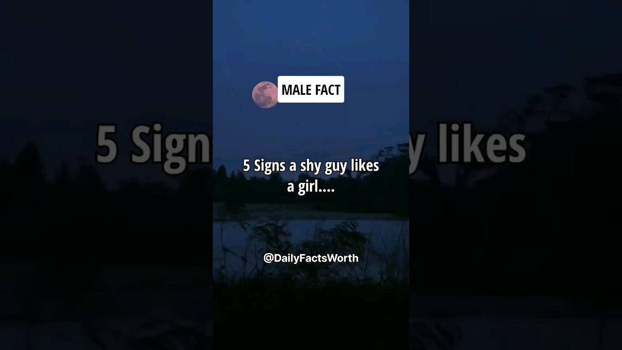 5 Signs a Shy Guy Likes a Girl 