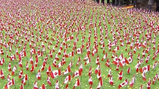 11,800 flags displayed downtown to honour fallen soldiers