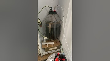 Closed loop transfer oxygen free. Keg land all rounder 60l