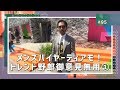 【ピッティ速報】メンズバイヤーティアモ！トレンド野郎御意見無用①｜ティアモ・ラ・モーダ No.95