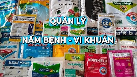 Cập nhập Thuốc bệnh Nấm và Vi Khuẩn sử dụng trên nhiều loại cây trồng cho quý bà con tham khảo #cat 