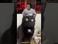 Evinde kedisi olanlar iyi bilir 😂😂| RRaenee izliyor #rraenee #elraenn