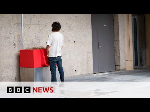 Does Paris have a public urination problem? - BBC News