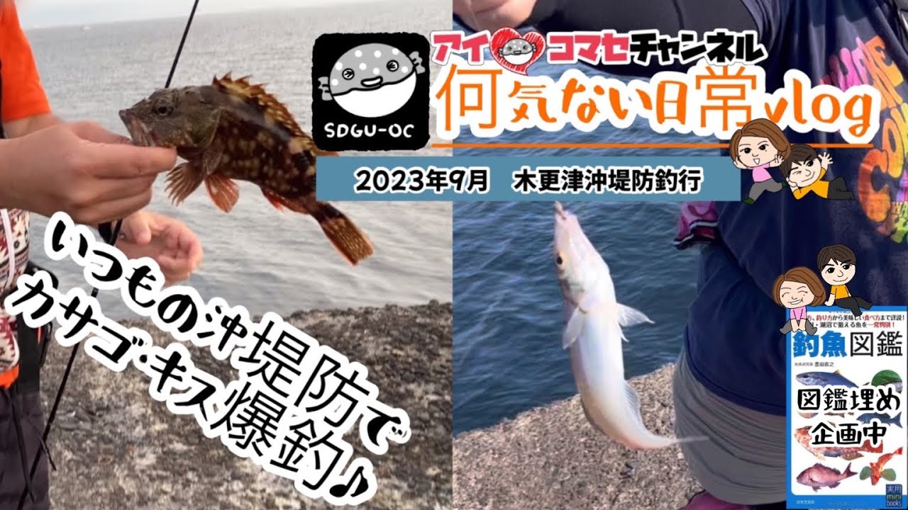 千葉県内房・木更津沖堤防釣りvlog】いつもの沖堤防で良型カサゴ・キス